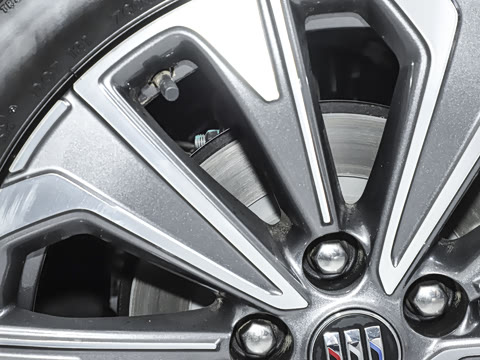 2025�� 25T �׽��