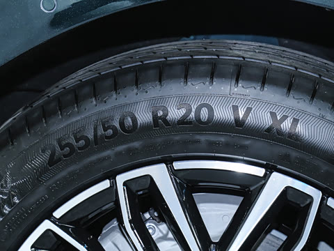 2026�� ���� ����Max��