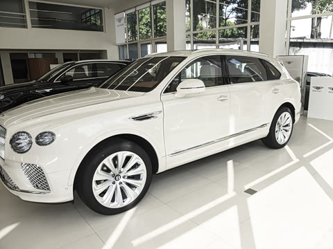 2026�� 4.0T V8 ������ŶȰ�