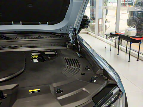 2025�� 120km ���ּӳ��� 7��