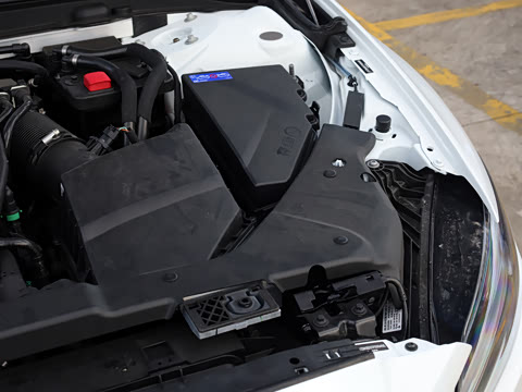 2026�� B4 ��Զ�˶���