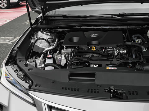 2026�� ˫�� 2.0L ������