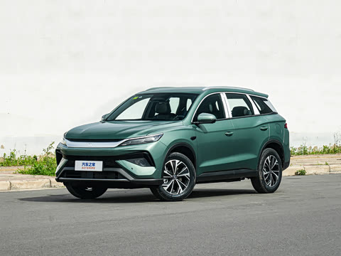 2026�� DM-i 133KM��Խ��