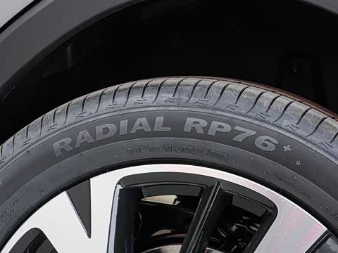 2026�� DM-i 220KM��Խ��