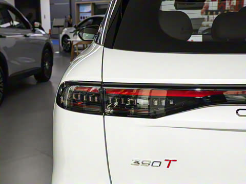 2026�� 9X 2.0T �Զ����������