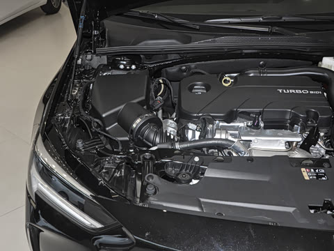 2025�� 25T ������