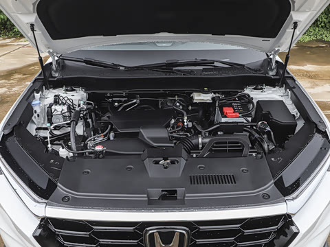 2026�� ȫ��30����ҫ�� 1.5T ��������5����
