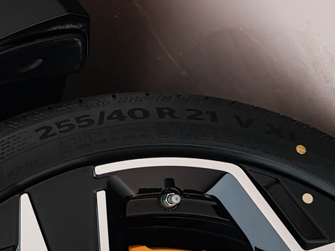 2026�� ���� ����������