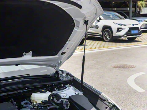 2026�� ˫�� 2.5HXS �˶�Plus��