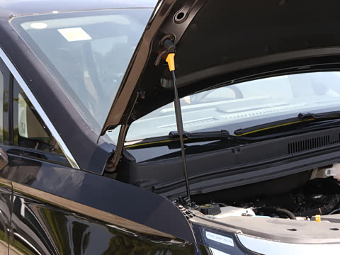 2026�� ����Max