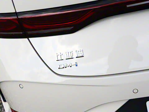 2025�� DM-i �Ǽݰ� 128KM��ȡ��