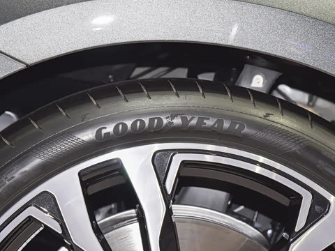 2025�� Avant
