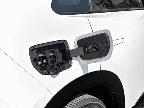 2026�� ����600 Max�˶���