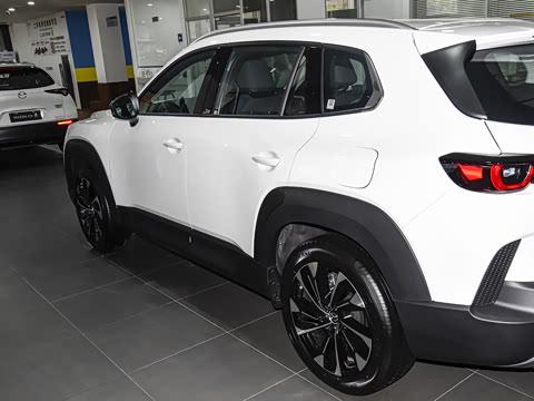 2026�� 2.5L ���а�