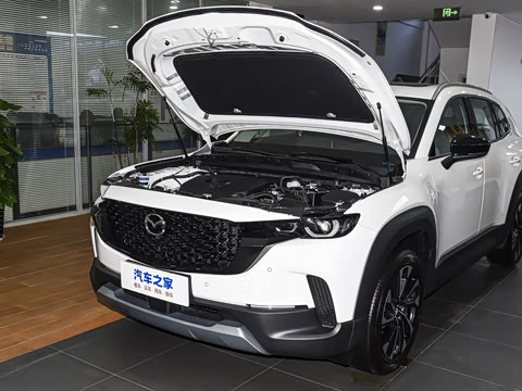 2026�� 2.5L ���а�