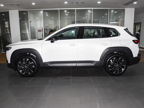 2026�� 2.5L ���а�