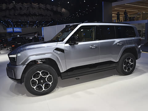 2025�� Max