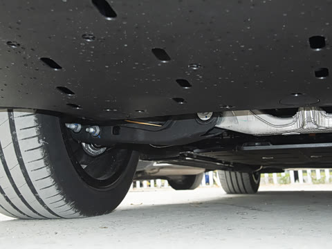 2026�� ���� Max�������� 6��