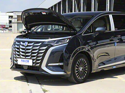 2025�� DM-i ��������