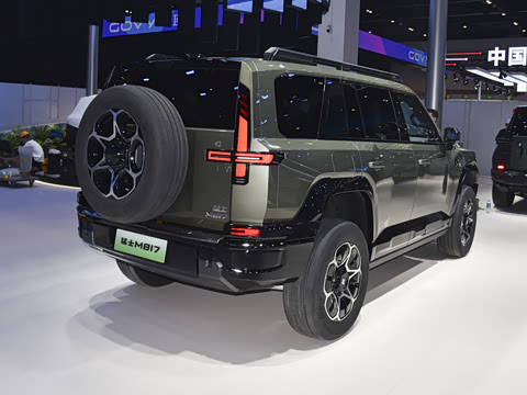 2025�� Pro