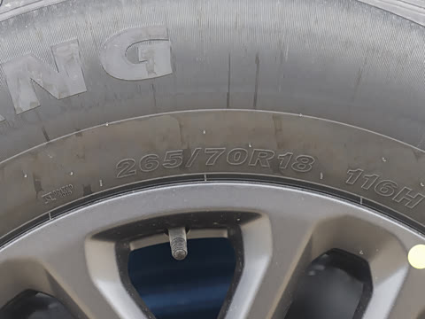 2025�� ̽Ұ�� 5��