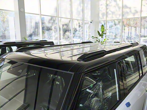 2025�� 520���������