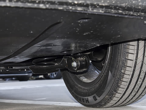 2026�� 565km ������