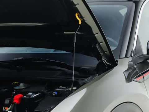 2026�� 1.6T ҫ����