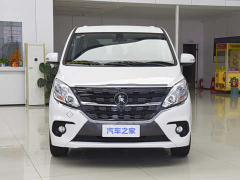 2025�� 2.0L �ֶ���Ӣ��CNG 7��