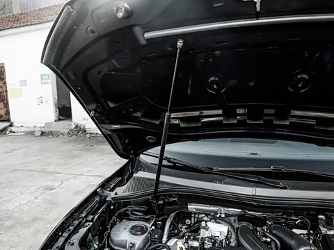 2026�� ���ڿ� 300TSI �Զ��������ڰ�