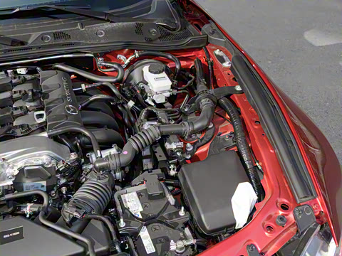 2025�� �ֶ��������� ī�����