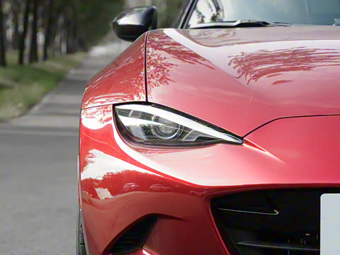 2025�� �ֶ��������� ī�����