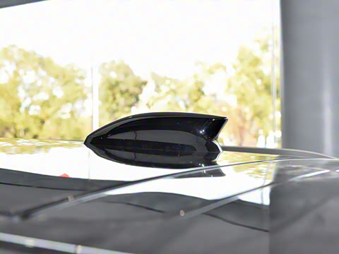 2025�� 2.0T PHEV ���������� 6��