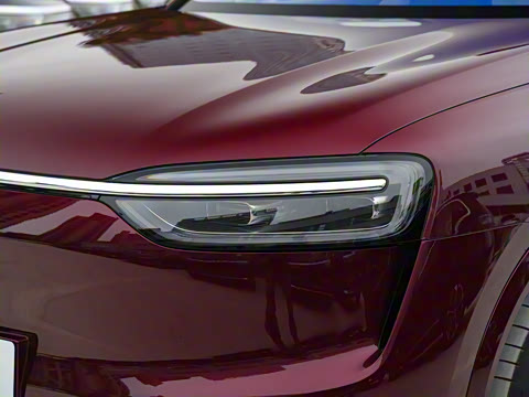 2026�� ���� Max�������� 5��