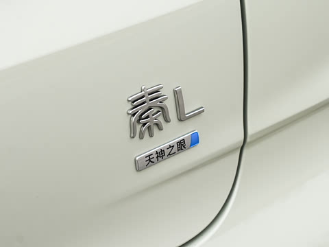 2026�� DM-i 210KM��Խ��