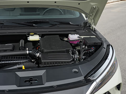 2026�� DM-i 210KM��Խ��