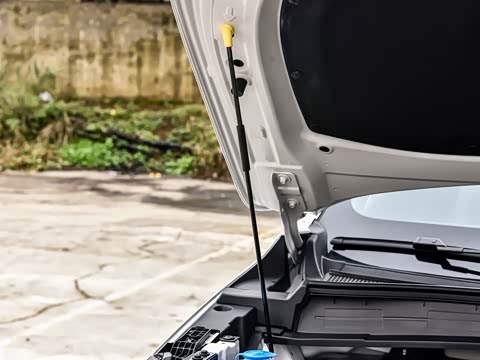 2026�� �ǻ������� 125km ��Խ��