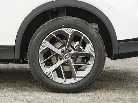 2026�� ���Ĵ� 1.5T �������� ������