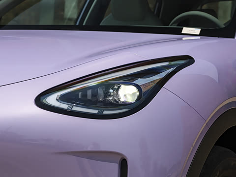 2026�� 310km ������