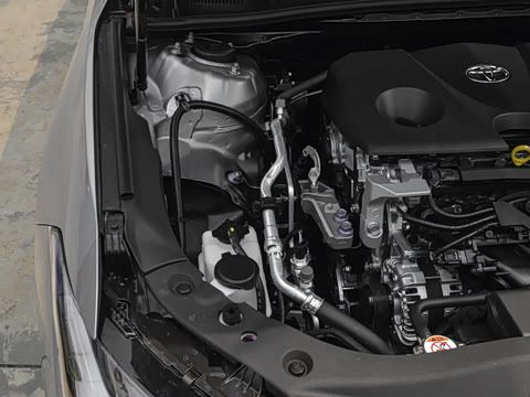 2026�� 2.0L ������