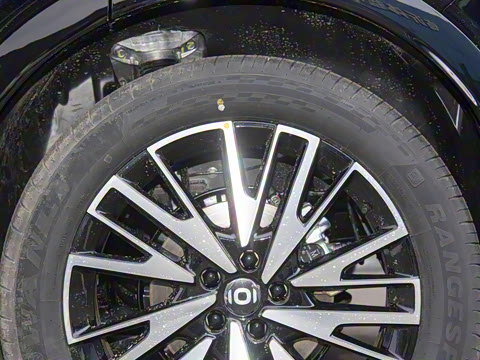 2025�� 215����������