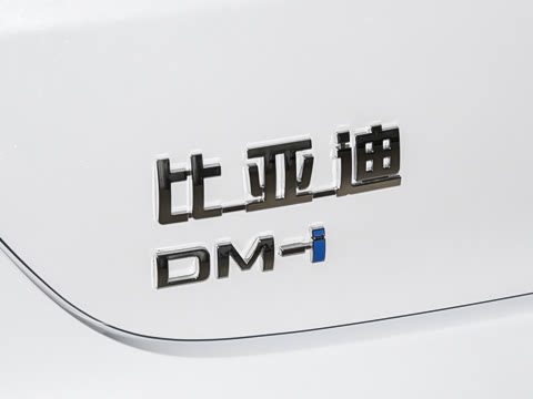 2025�� DM-i 120KM ���а�