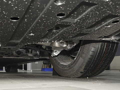 2025�� Elite�����