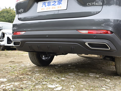 2026�� PRO 1.5T DCT ������ 7��