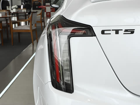 2025�� 28T �������ܰ�