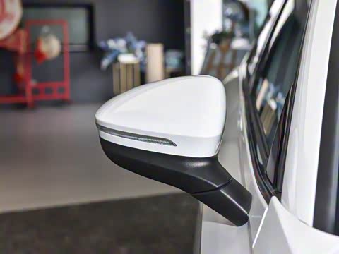 2026�� L 300TSI DSG ��Ӣ��