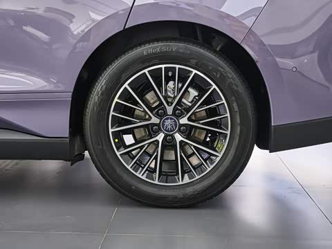 2026�� DM-i 230KM��Խ��