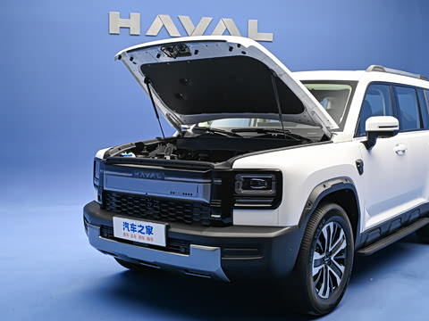 2026�� 255km ������