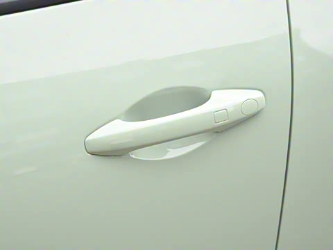 2025�� 401km ������