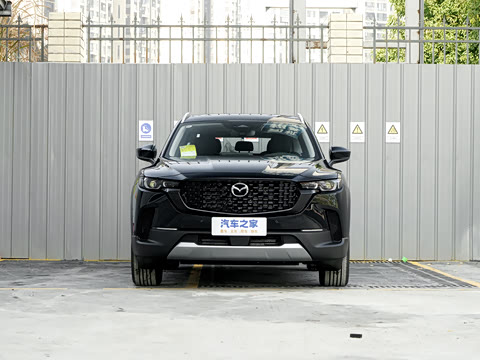 2026�� 2.5L ���а�